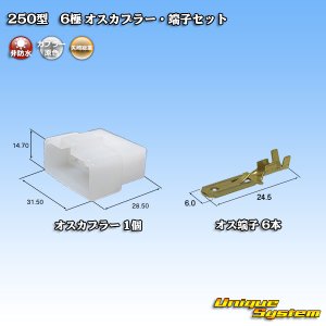 画像: 矢崎総業 250型 CN(A) 非防水 6極 オスカプラー・端子セット