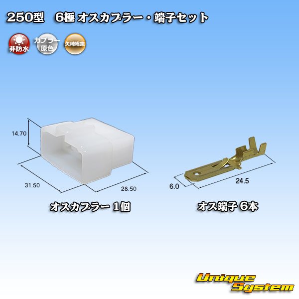 画像1: 矢崎総業 250型 CN(A) 非防水 6極 オスカプラー・端子セット (1)