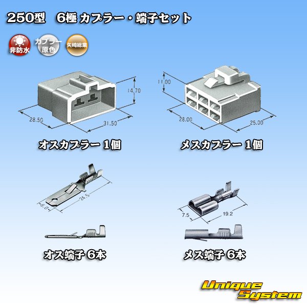 画像5: 矢崎総業 250型 CN(A) 非防水 6極 カプラー・端子セット (5)