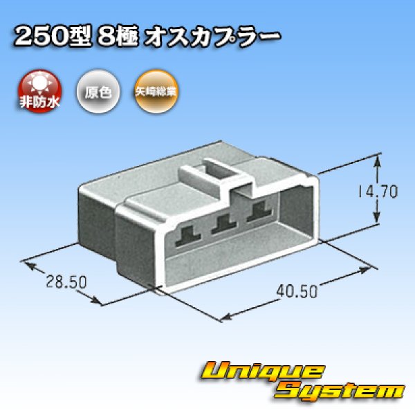画像3: 矢崎総業 250型 CN(A) 非防水 8極 オスカプラー (3)