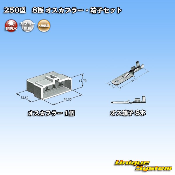 画像4: 矢崎総業 250型 CN(A) 非防水 8極 オスカプラー・端子セット (4)