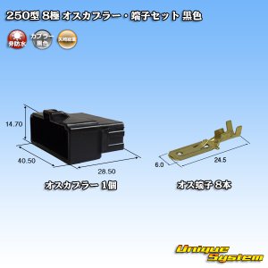 画像: 矢崎総業 250型 CN(A) 非防水 8極 オスカプラー・端子セット 黒色