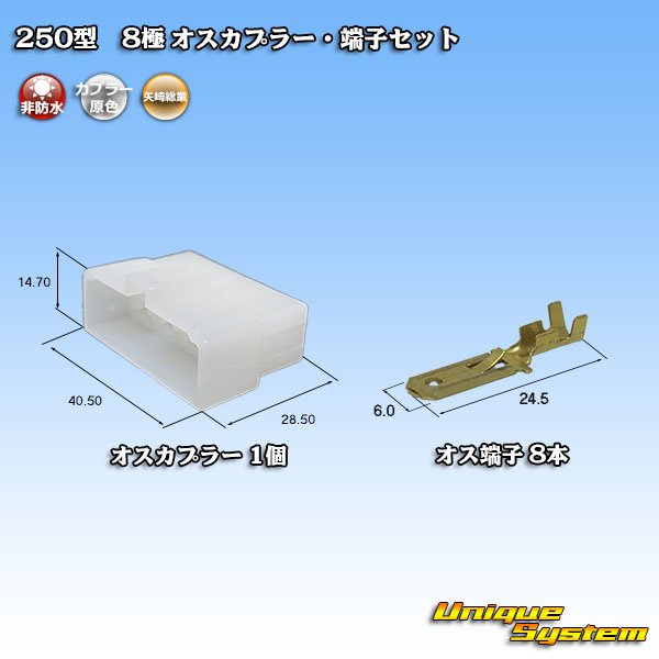 画像1: 矢崎総業 250型 CN(A) 非防水 8極 オスカプラー・端子セット (1)