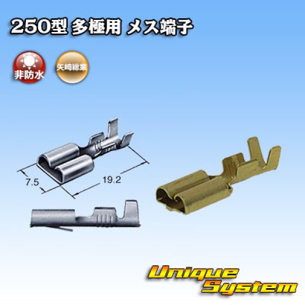 画像1: 古河電工 250型 非防水 ウインカーリレーカプラーシリーズ用 非防水 メス端子 (1)