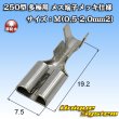 画像1: 矢崎総業 250型 ブスバー バスバー用 非防水 メス端子 メッキ仕様 サイズ：M(0.5-2.0mm2) (1)