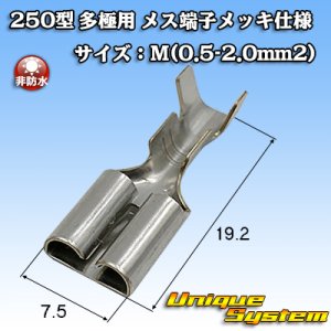 画像: 矢崎総業 250型 ブスバー バスバー用 非防水 メス端子 メッキ仕様 サイズ：M(0.5-2.0mm2)