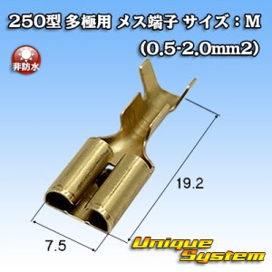 画像: 矢崎総業 250型 ブスバー バスバー用 非防水 メス端子 サイズ：M(0.5-2.0mm2)