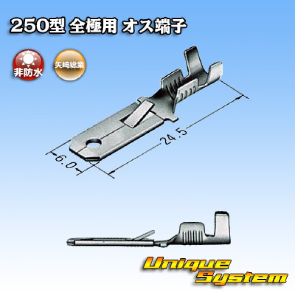 画像5: 矢崎総業 250型 全極シリーズ用 非防水 オス端子 サイズ：M(0.5-2.0mm2) (5)