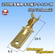 画像1: 矢崎総業 250型 全極シリーズ用 非防水 オス端子 サイズ：M(0.5-2.0mm2) (1)