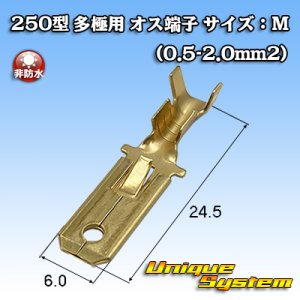画像: 矢崎総業 250型 全極シリーズ用 非防水 オス端子 サイズ：M(0.5-2.0mm2)