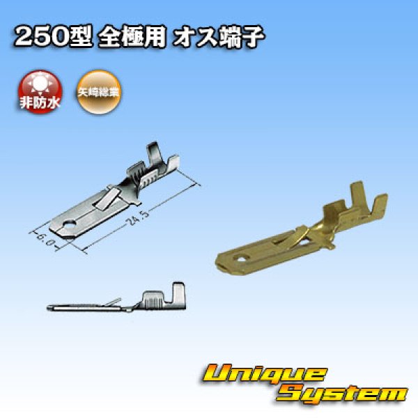 画像3: 矢崎総業 250型 全極シリーズ用 非防水 オス端子 サイズ：M(0.5-2.0mm2) (3)