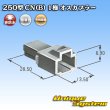 画像4: 矢崎総業 250型 CN(B) 非防水 1極 オスカプラー (4)