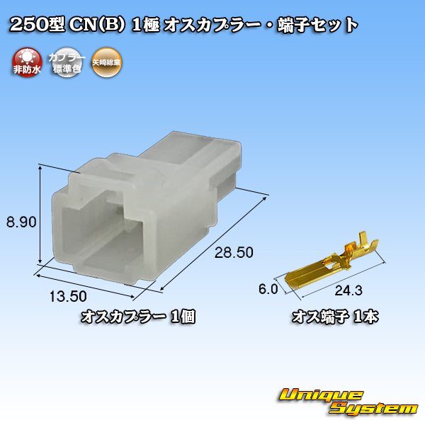 画像1: 矢崎総業 250型 CN(B) 非防水 1極 オスカプラー・端子セット (1)