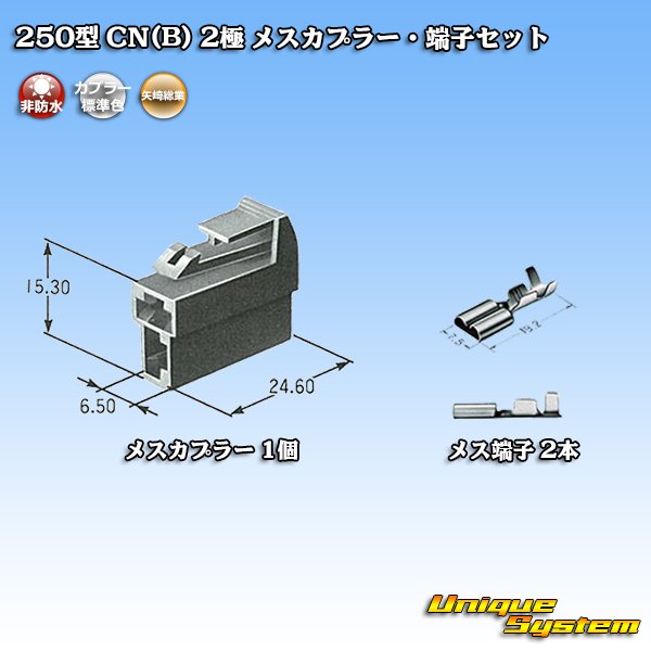 画像5: 矢崎総業 250型 CN(B) 非防水 2極 メスカプラー・端子セット (5)