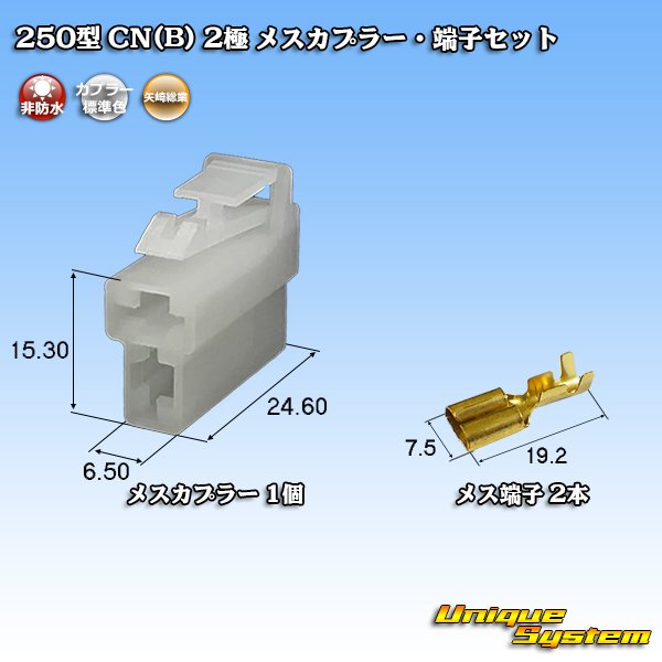 画像1: 矢崎総業 250型 CN(B) 非防水 2極 メスカプラー・端子セット (1)