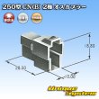 画像4: 矢崎総業 250型 CN(B) 非防水 2極 オスカプラー (4)