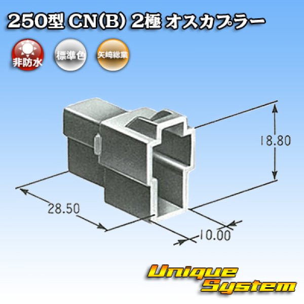 画像4: 矢崎総業 250型 CN(B) 非防水 2極 オスカプラー (4)