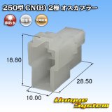 画像: 矢崎総業 250型 CN(B) 非防水 2極 オスカプラー