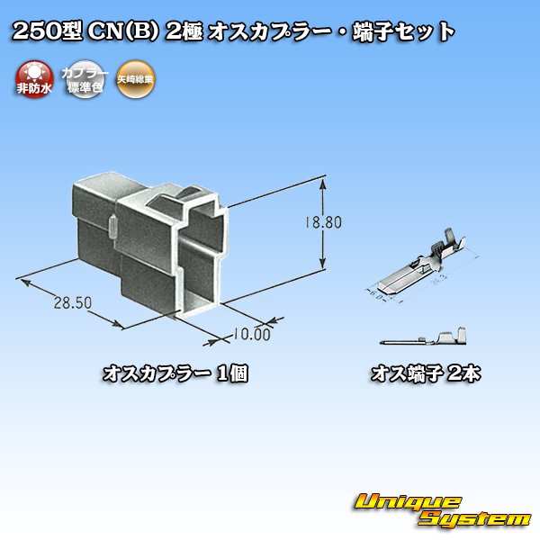 画像5: 矢崎総業 250型 CN(B) 非防水 2極 オスカプラー・端子セット (5)