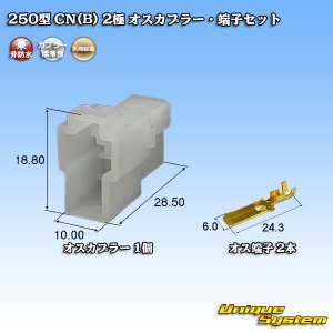 画像: 矢崎総業 250型 CN(B) 非防水 2極 オスカプラー・端子セット