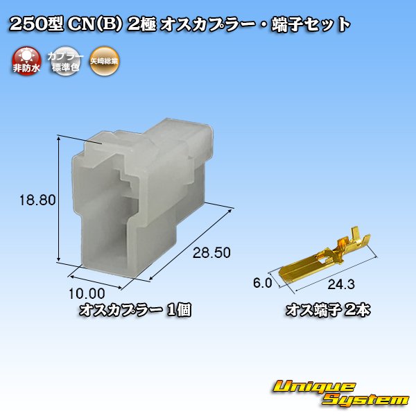画像1: 矢崎総業 250型 CN(B) 非防水 2極 オスカプラー・端子セット (1)