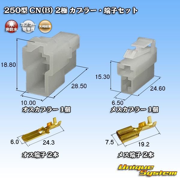 画像1: 矢崎総業 250型 CN(B) 非防水 2極 カプラー・端子セット (1)