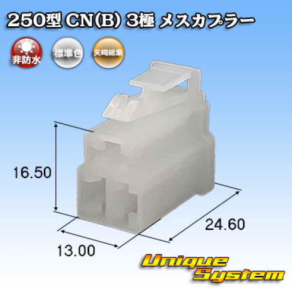 画像1: 矢崎総業 250型 CN(B) 非防水 3極 メスカプラー (1)