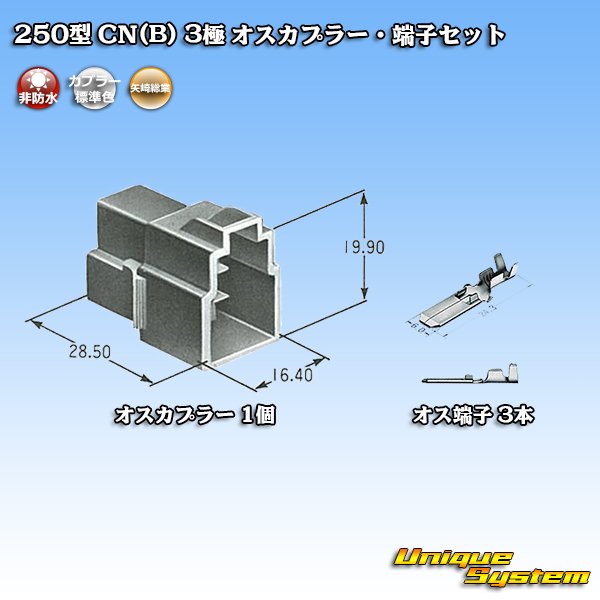 画像5: 矢崎総業 250型 CN(B) 非防水 3極 オスカプラー・端子セット (5)