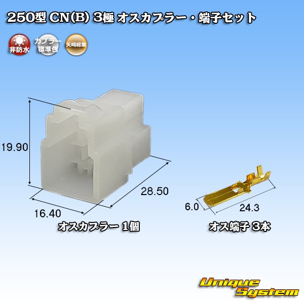 画像1: 矢崎総業 250型 CN(B) 非防水 3極 オスカプラー・端子セット (1)