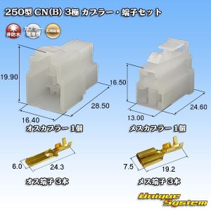 画像: 矢崎総業 250型 CN(B) 非防水 3極 カプラー・端子セット
