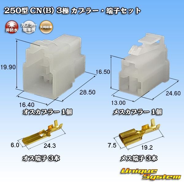 画像1: 矢崎総業 250型 CN(B) 非防水 3極 カプラー・端子セット (1)