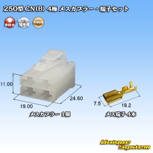 画像: 矢崎総業 250型 CN(B) 非防水 4極 メスカプラー・端子セット