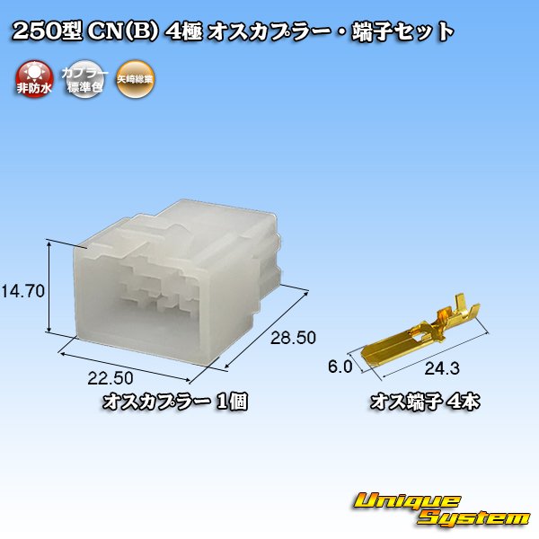 画像1: 矢崎総業 250型 CN(B) 非防水 4極 オスカプラー・端子セット (1)