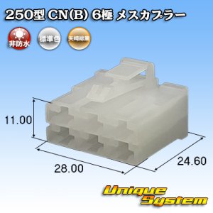 画像: 矢崎総業 250型 CN(B) 非防水 6極 メスカプラー