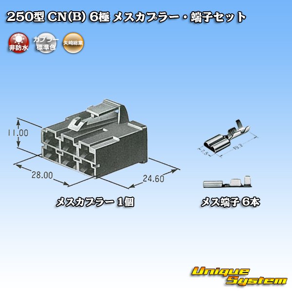画像5: 矢崎総業 250型 CN(B) 非防水 6極 メスカプラー・端子セット (5)