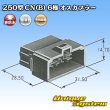 画像4: 矢崎総業 250型 CN(B) 非防水 6極 オスカプラー (4)