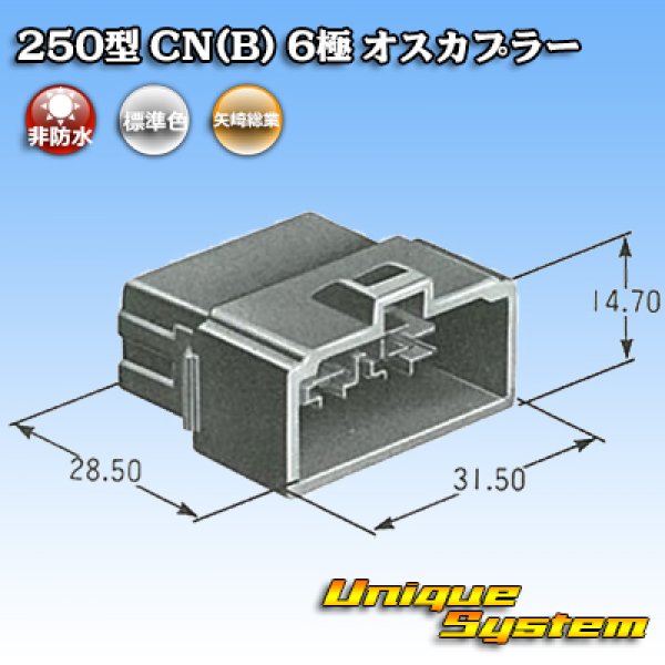 画像4: 矢崎総業 250型 CN(B) 非防水 6極 オスカプラー (4)