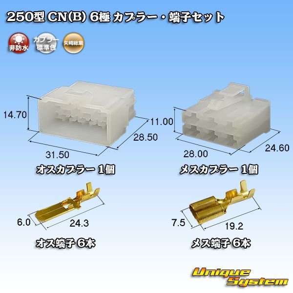 画像1: 矢崎総業 250型 CN(B) 非防水 6極 カプラー・端子セット (1)
