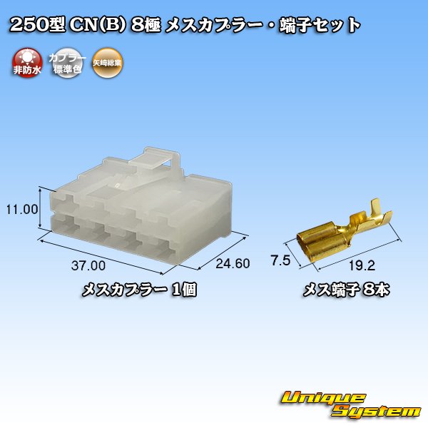 画像1: 矢崎総業 250型 CN(B) 非防水 8極 メスカプラー・端子セット (1)