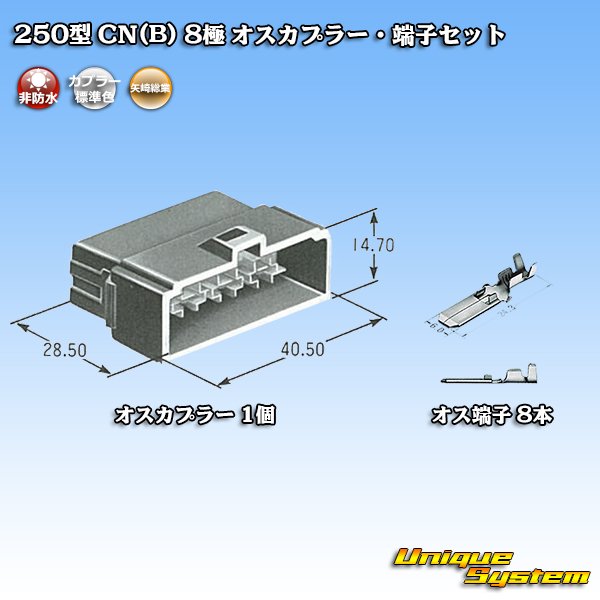 画像5: 矢崎総業 250型 CN(B) 非防水 8極 オスカプラー・端子セット (5)