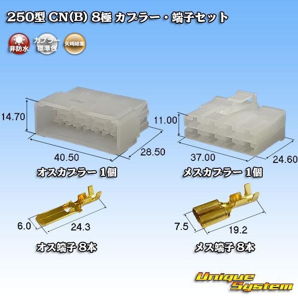 画像1: 矢崎総業 250型 CN(B) 非防水 8極 カプラー・端子セット (1)