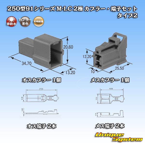 画像1: 矢崎総業 250型91シリーズ M-LCタイプ 非防水 2極 カプラー・端子セット タイプ2 (1)