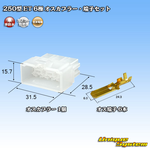 画像1: 住友電装 250型 ET 非防水 6極 オスカプラー・端子セット (1)
