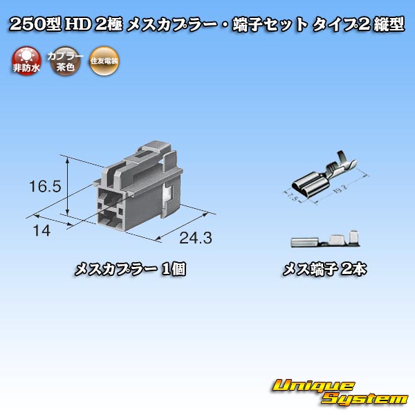 画像1: 住友電装 250型 HD 非防水 2極 メスカプラー・端子セット タイプ2 縦型 (1)