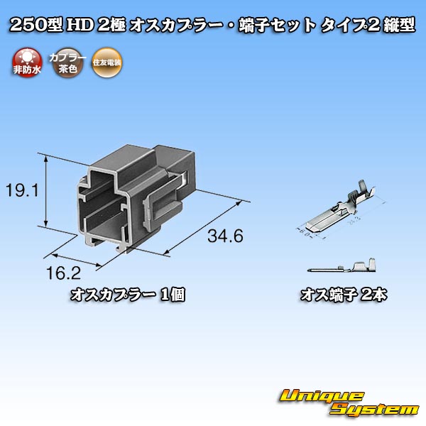 画像1: 住友電装 250型 HD 非防水 2極 オスカプラー・端子セット タイプ2 縦型 (1)